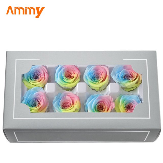 Ammy A Grade 4-5 Cm Preserved Rose head flower Christmas flower material rainbow color flowers double color decoration