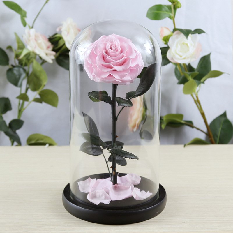 New Product Everlasting Roses in Glass Dome Preserved Flower with Stem Natural Preserved Flowers Perfect Christmas Wedding Gifts