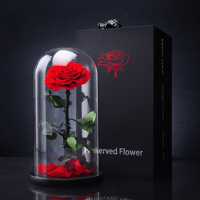 New Product Everlasting Roses in Glass Dome Preserved Flower with Stem Natural Preserved Flowers Perfect Christmas Wedding Gifts