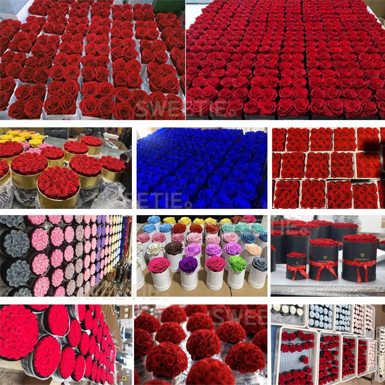wholesale everlasting rosas preservadas eternal immortal peony flower red forever infinity forever preserved roses in box