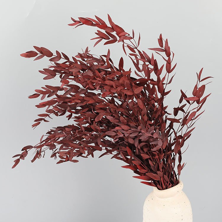 2024 Yunnan Feishuo Wholesale Preserved Flower Parvifolia Preserved Eucalyptus Leaf For Floral Arrangement