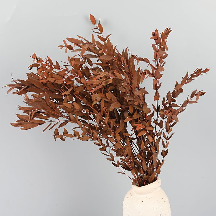 2024 Yunnan Feishuo Wholesale Preserved Flower Parvifolia Preserved Eucalyptus Leaf For Floral Arrangement
