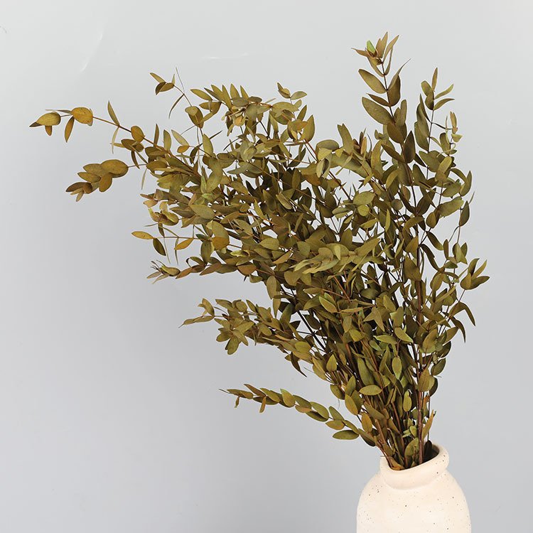 2024 Yunnan Feishuo Wholesale Preserved Flower Parvifolia Preserved Eucalyptus Leaf For Floral Arrangement