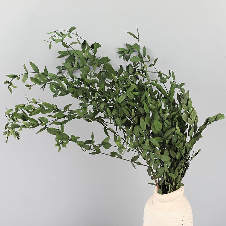 2024 Yunnan Feishuo Wholesale Preserved Flower Parvifolia Preserved Eucalyptus Leaf For Floral Arrangement