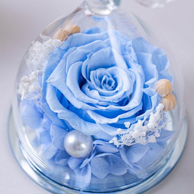 Little Angel Real Flower Glass Cover Natural Fresh Preserved Eternal Christmas Halloween Graduation Valentine's Day Mother's Day