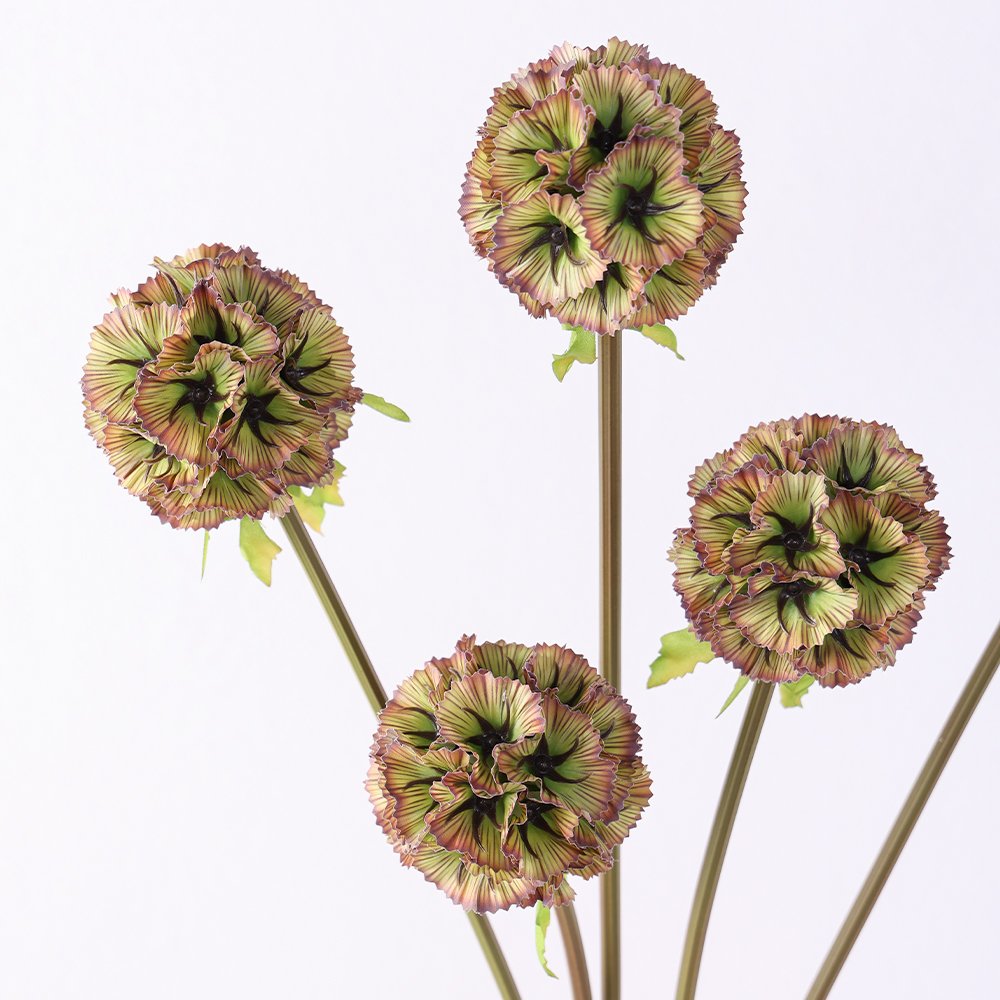 Preserved Windmill wholesale ball shape dry flower windmill fruit flowers Scabiosa Atropurpurea Pristimera Preserved Flower