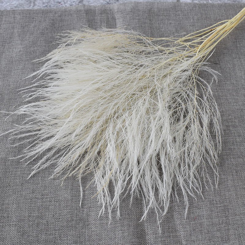 Preserved Natural Stone Grass, filament Silk dreamy Feather Flower, Floral Decorative Grass