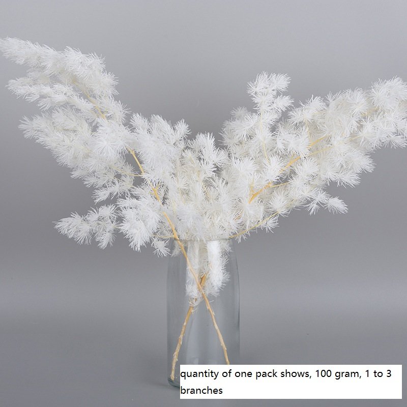 Natural Preserved Ming fern flower, Asparagus, needle leaves