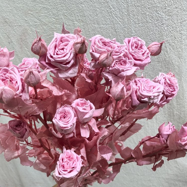 Preserved roses multiple heads with stem materials for bouquet Christmas & Wedding Decorations with Fresh Roses Wedding Favors