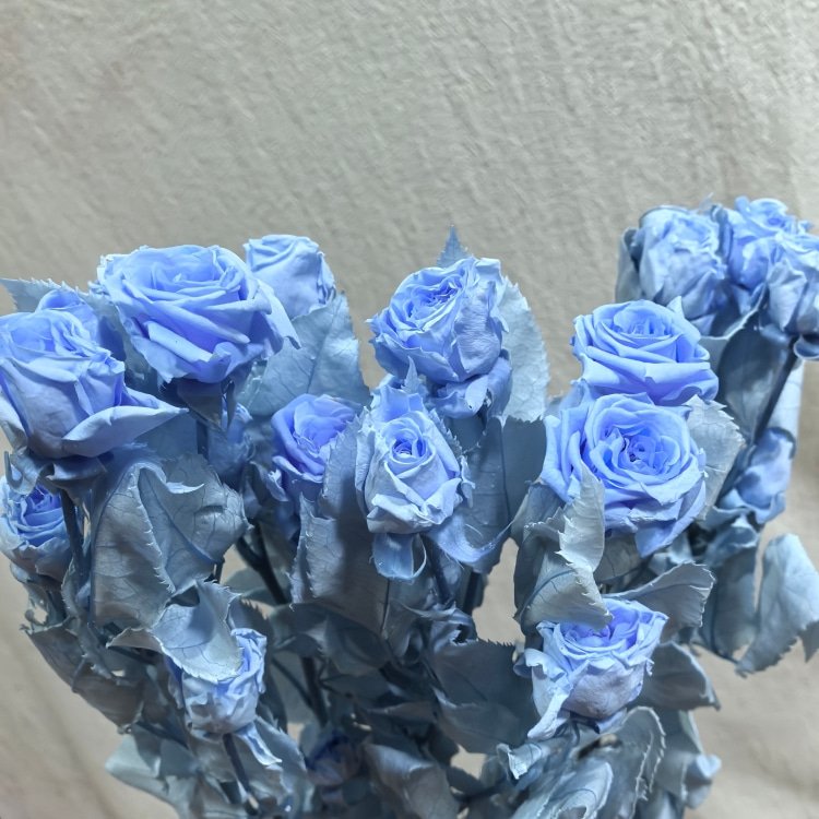 Preserved roses multiple heads with stem materials for bouquet Christmas & Wedding Decorations with Fresh Roses Wedding Favors