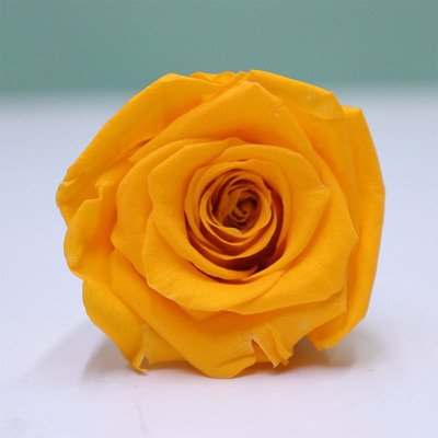 5-6CM 6pcs Level A Preserved Rose Flowers Head Forever Roses Real Eternal Rose for Wedding Home Decoration