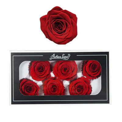 5-6CM 6pcs Level A Preserved Rose Flowers Head Forever Roses Real Eternal Rose for Wedding Home Decoration
