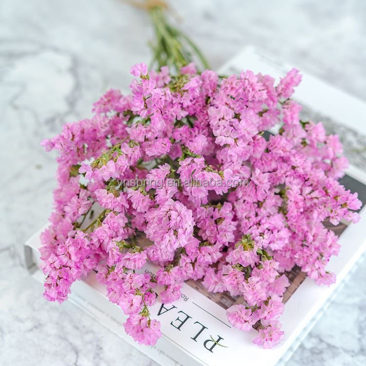 Hot seller wholesale dried grasses dried flowers statice myosotis sylvatica forget me not preserved flowers and plants