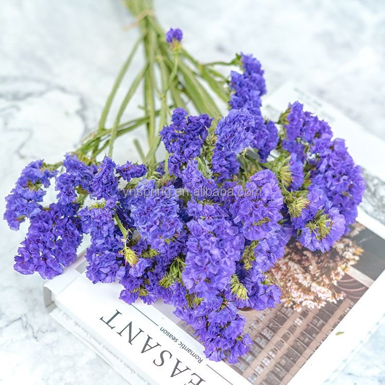 Hot seller wholesale dried grasses dried flowers statice myosotis sylvatica forget me not preserved flowers and plants