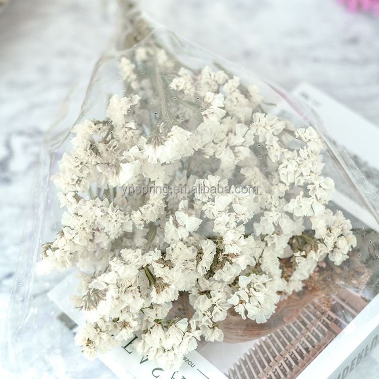 Hot seller wholesale dried grasses dried flowers statice myosotis sylvatica forget me not preserved flowers and plants