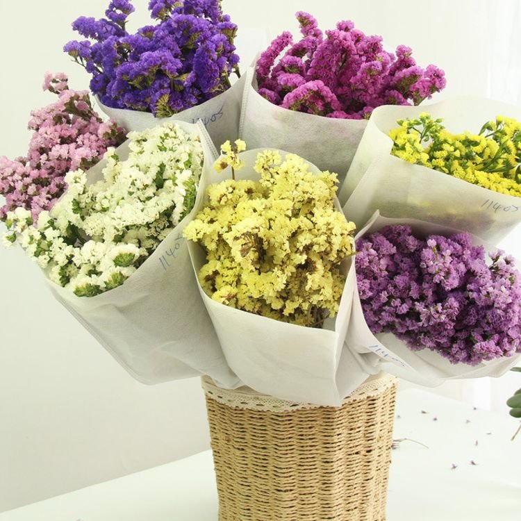 Hot seller wholesale dried grasses dried flowers statice myosotis sylvatica forget me not preserved flowers and plants