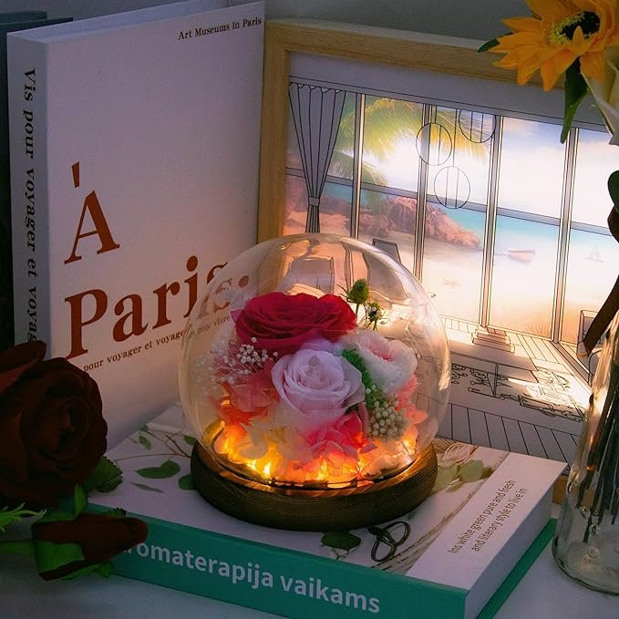 Wholesale Forever Preserved Roses Flowers In Round Glass Dome With Led Lights For Christmas Valentine's Day Gifts