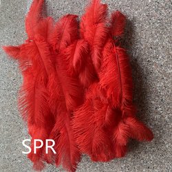 SPR-FW22726-14