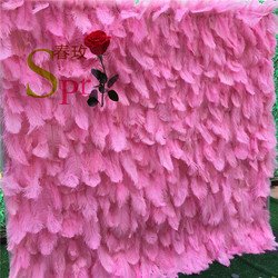SPR-FW22116-2