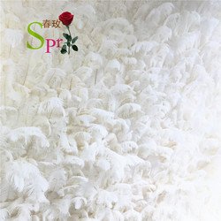 SPR-FW21815-15