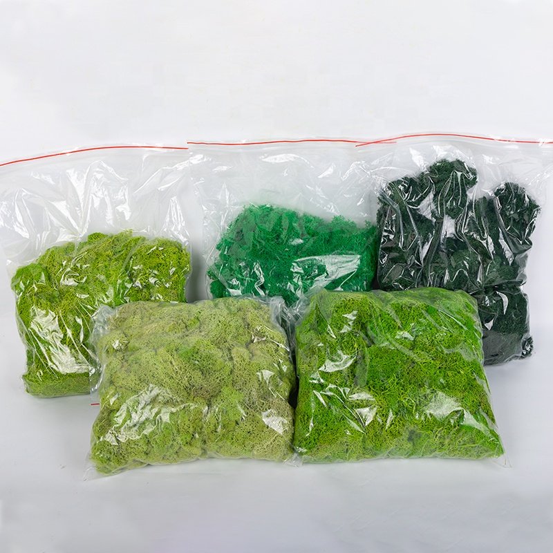 Decor moos preserved moss wall for home decoration
