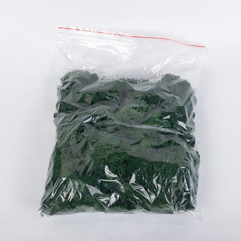 Decor moos preserved moss wall for home decoration