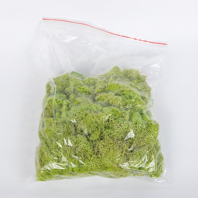 Decor moos preserved moss wall for home decoration