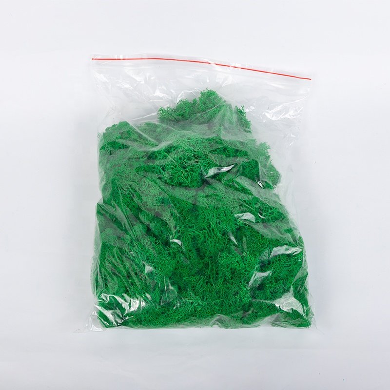 Decor moos preserved moss wall for home decoration