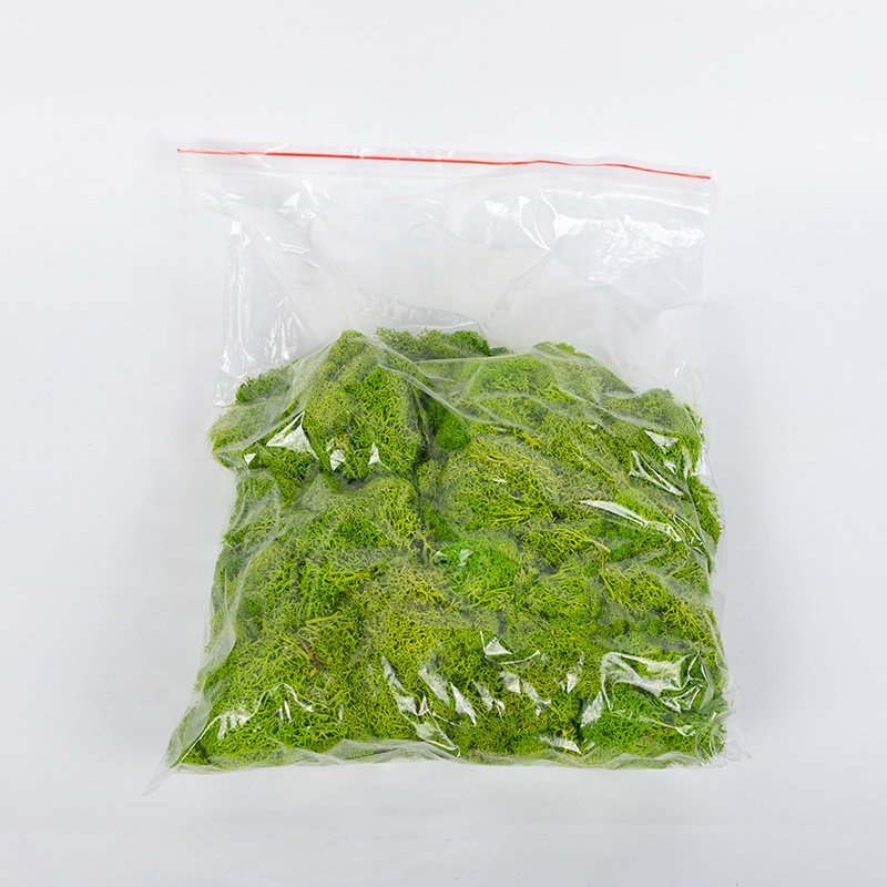 Decor moos preserved moss wall for home decoration