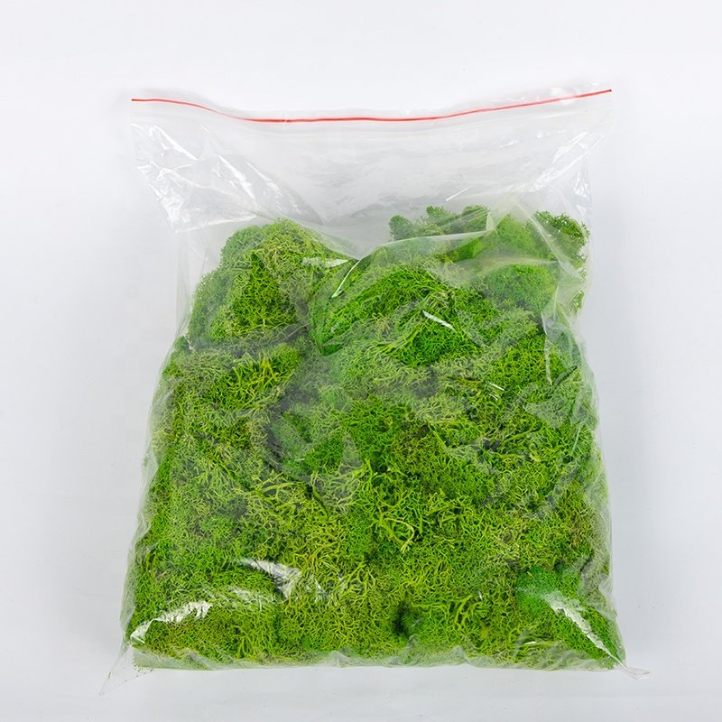 Decor moos preserved moss wall for home decoration
