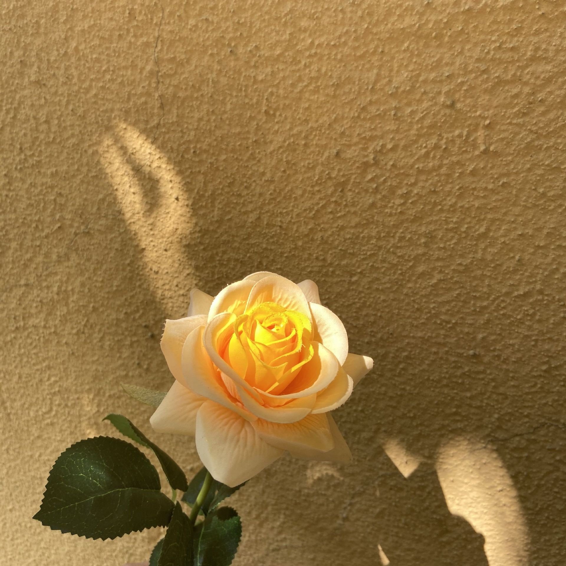 High Quality M508 Rose Flower Real Touch Feel Moisturizing for Wedding Christmas Halloween Graduation Easter Home Decorations