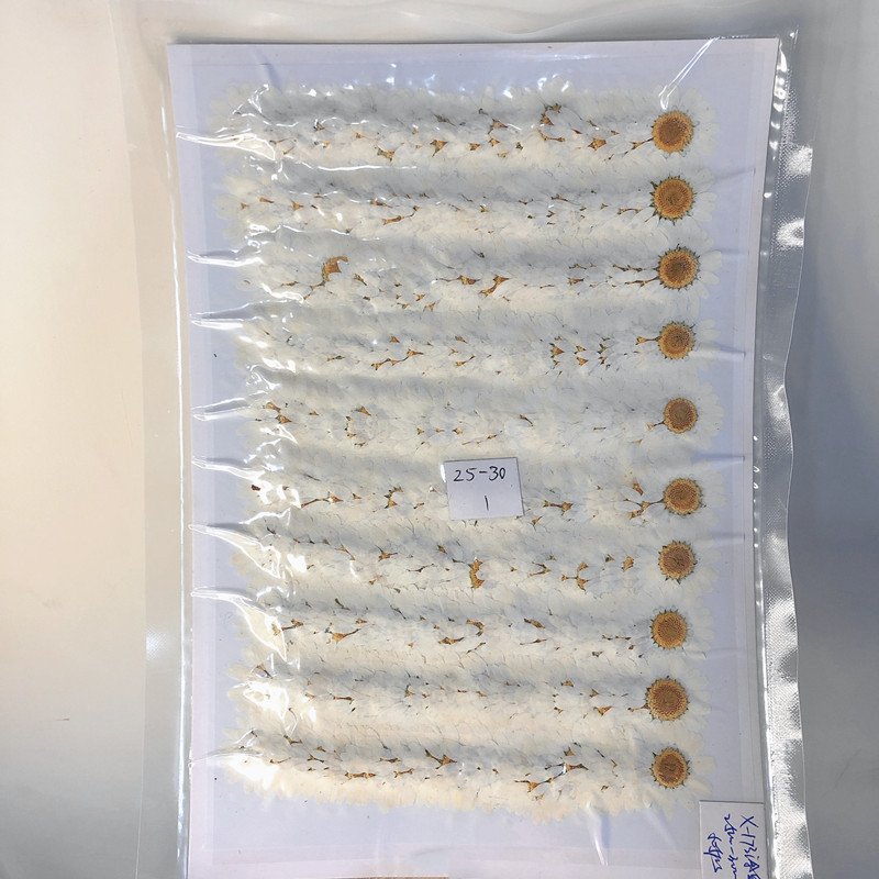 DIY Preserved Clear flores artificial flowers Bulk Wholesale Pressed Flower For Makeup artificial plants and flowers