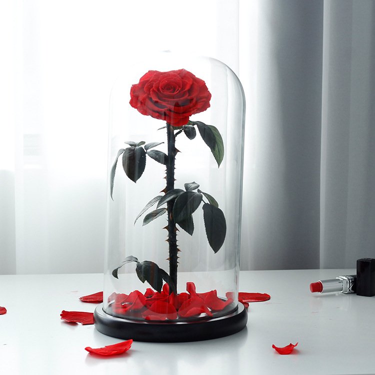 Wholesale 2024 New Year Decorative Preserved Rose Glass Dome Eternal Rose Christmas Valentine's Day & Easter Gift for Women