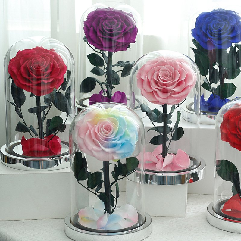 Wholesale 2024 New Year Decorative Preserved Rose Glass Dome Eternal Rose Christmas Valentine's Day & Easter Gift for Women