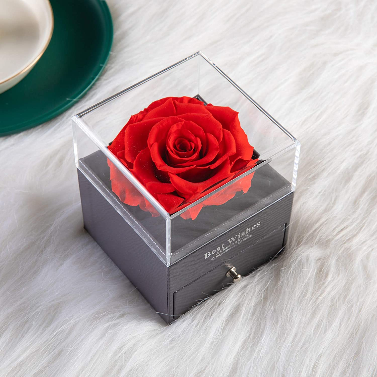 Preserved Real Rose That Lasts Forever with Necklace Gift for Valentine's Day Wedding Anniversary Birthday