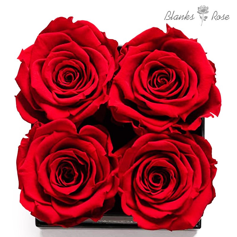 Real Roses That Lasts Years Preserved Rose Flowers In a Box Forever Rose Box Mothers Day Gifts