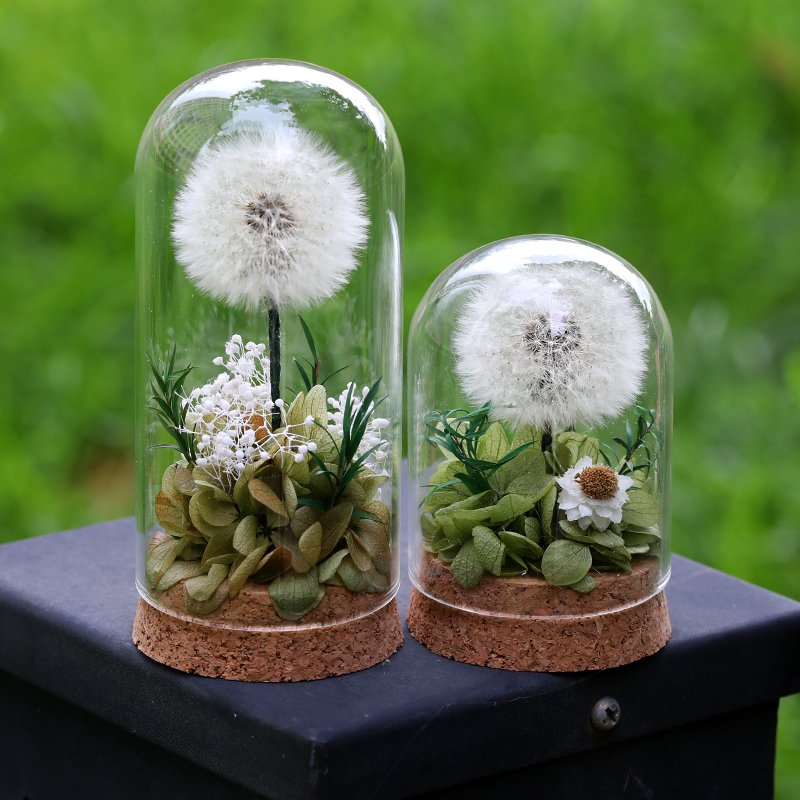 Wholesale high quality Natural Dandelion Flower with Glass Dome Eternal Preserved rose for Girlfriend Birthday Gifts