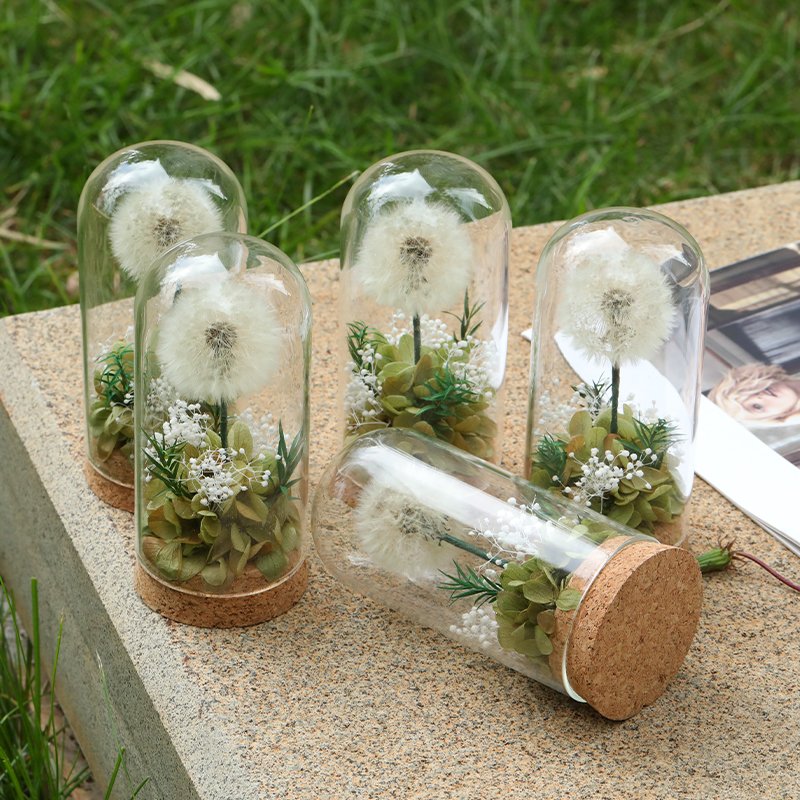 Wholesale high quality Natural Dandelion Flower with Glass Dome Eternal Preserved rose for Girlfriend Birthday Gifts