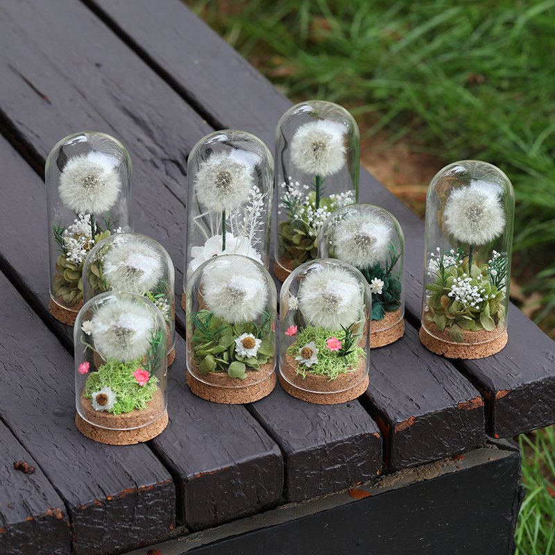 Wholesale high quality Natural Dandelion Flower with Glass Dome Eternal Preserved rose for Girlfriend Birthday Gifts
