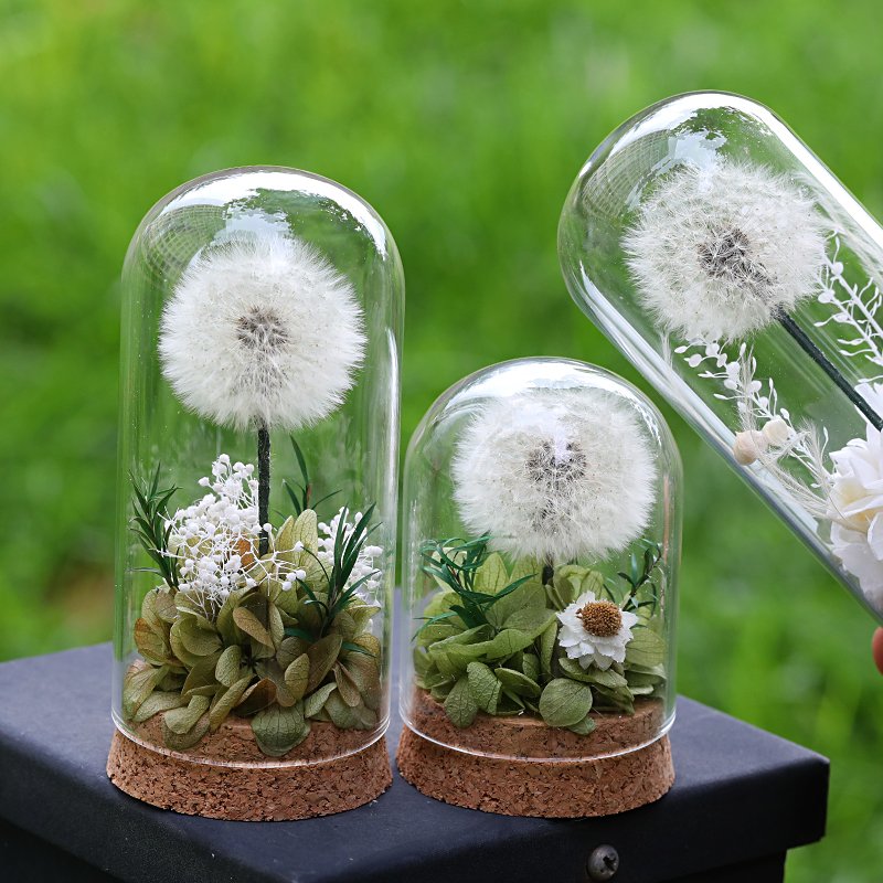 Wholesale high quality Natural Dandelion Flower with Glass Dome Eternal Preserved rose for Girlfriend Birthday Gifts