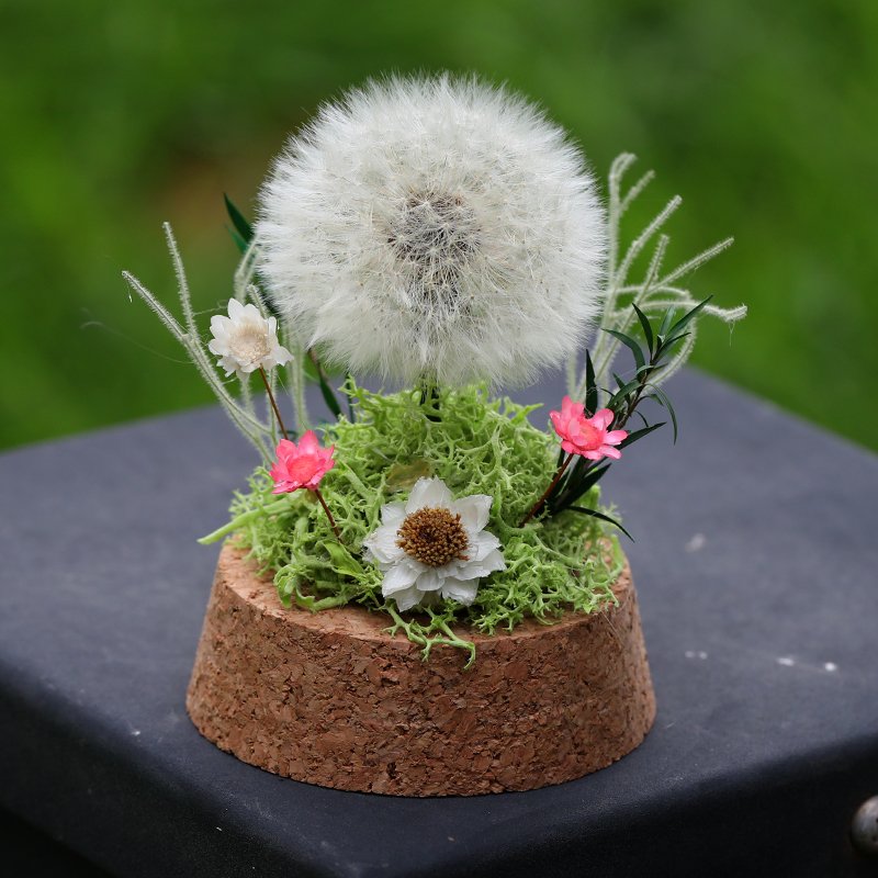 Wholesale high quality Natural Dandelion Flower with Glass Dome Eternal Preserved rose for Girlfriend Birthday Gifts