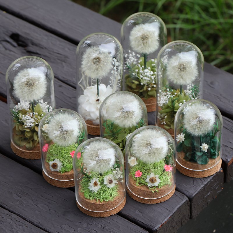 Wholesale high quality Natural Dandelion Flower with Glass Dome Eternal Preserved rose for Girlfriend Birthday Gifts