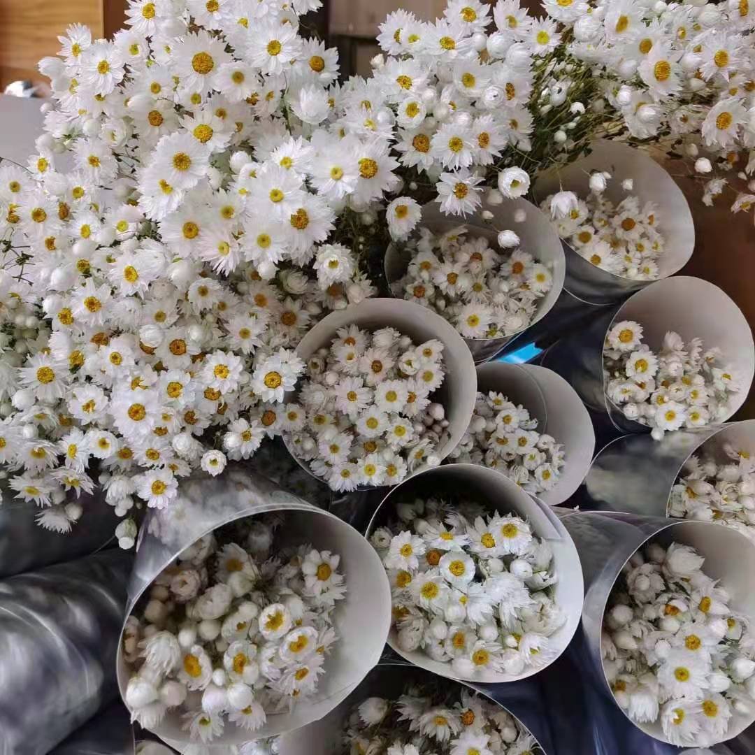 Preserved Flowers Bouquet Artificial Wildflowers Chrysanthemum Dried Rodanthe daisy flower For Home Decoration