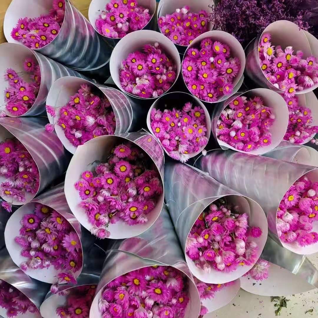 Preserved Flowers Bouquet Artificial Wildflowers Chrysanthemum Dried Rodanthe daisy flower For Home Decoration