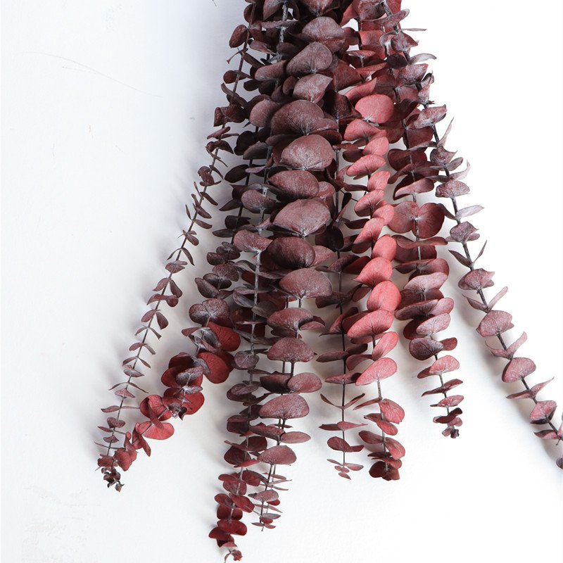 2024 Preserved Flowers Plants Dried Eucalyptus Bundle Fresh Eucalyptus Branches for arrangement wedding floral decor home decor