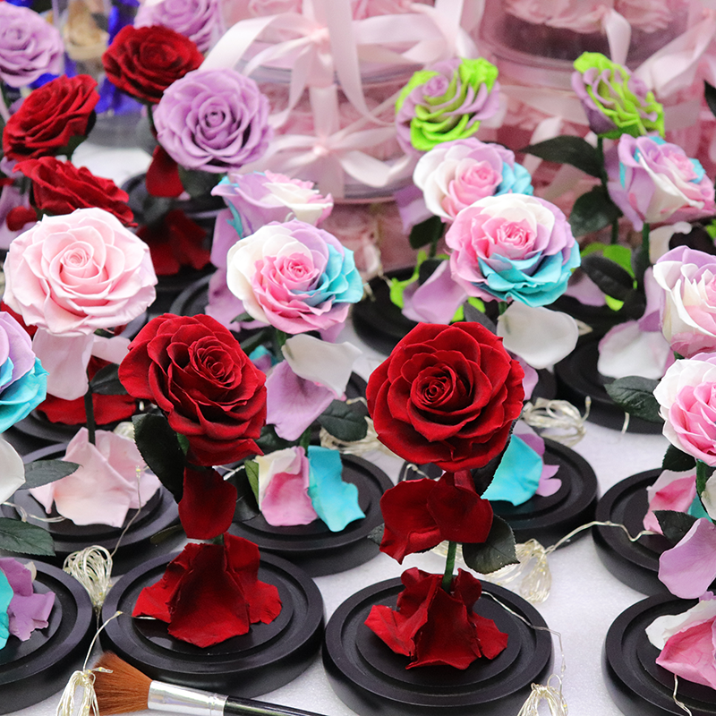 Natural Roses Belle Enchanted Mothers Day Gift Box Decor Everlasting Forever Eternal Rose Preserved Flower In Glass Dome Led