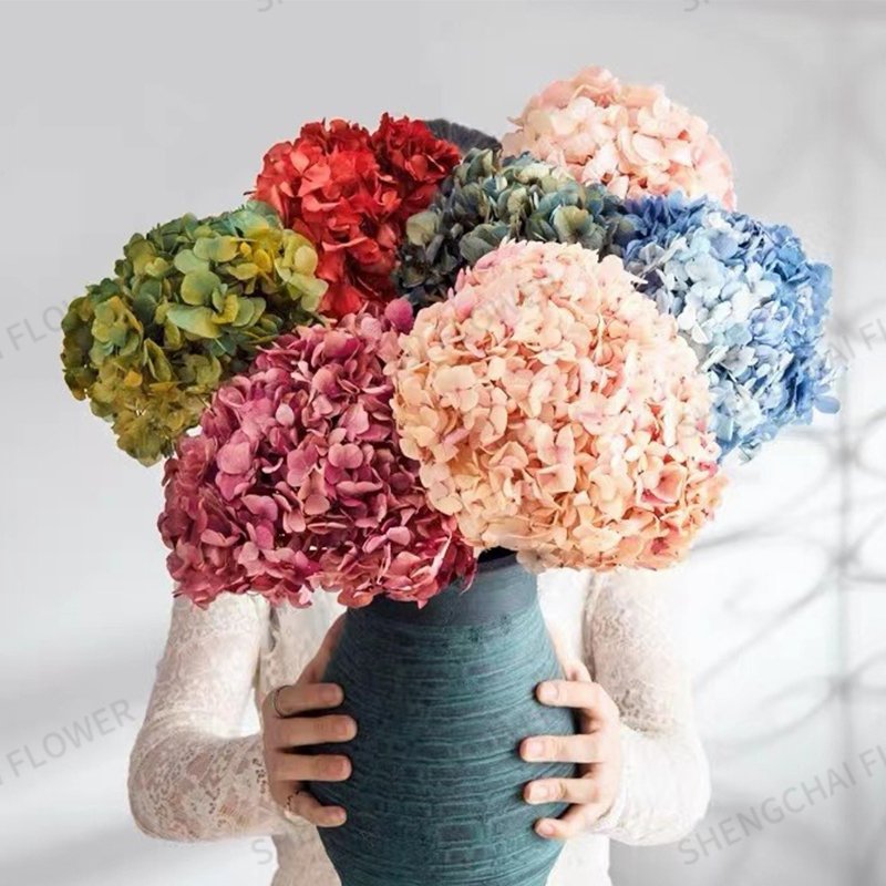 Wholesale Natural Real Touch Anna Hydrangea Preserved Flower Dried Flowers Anna Hydrangea flowers For Wedding or Home Decor
