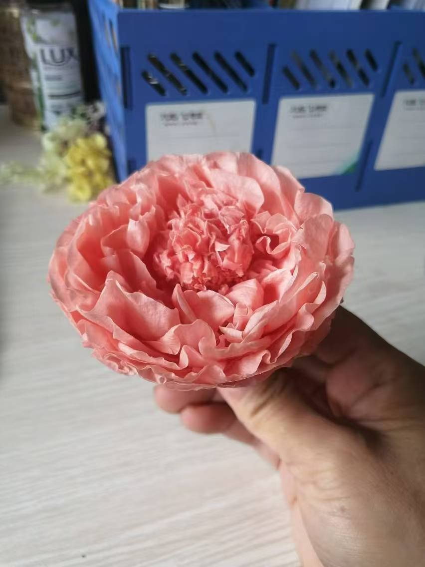 Wholesale Natural Preserved Flower Grant Austin Rose Eternal Rose Head Everlasting Peony For Gift Box DIY Bouquet