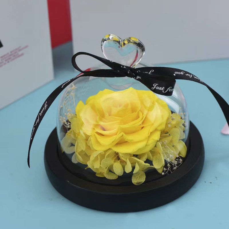 Little Love Eternal Flower Glass Cover Creative Birthday & Valentine's Day Confession Gift Preserved Plants & Flowers