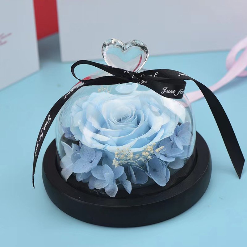 Little Love Eternal Flower Glass Cover Creative Birthday & Valentine's Day Confession Gift Preserved Plants & Flowers